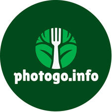 Logo photogo.info